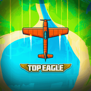 Top Eagle game icon