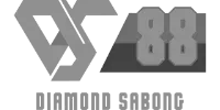 Visa Argentina logo